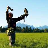  Jednym z podstawowych etapów szkolenia ptaków drapieżnych jest trening do wabidła, dzięki któremu ptaka uczy się wracania do sokolnika