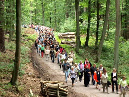 Pielgrzymka do Matemblewa w intencji trzeźwości