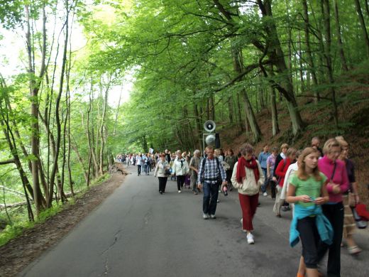 Pielgrzymka do Matemblewa w intencji trzeźwości