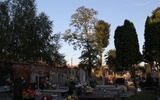 Miejsce wandalizmu na kutnowskim cmentarzu
