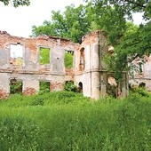 Pozostałości dworu w Jasionie na terenie gminy Zbrosławice