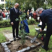  O pochodzącym z Karlina romantyku przypominać będzie także dąb