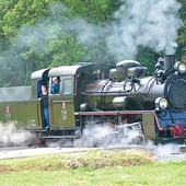 Parowóz typu Px48-1907 wyprodukowany został w 1955 r.  w Fabryce Lokomotyw im. F. Dzierżyńskiego w Chrzanowie;  jego renowację ukończono w 2010 r. 