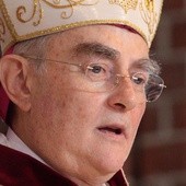 Abp Henryk Hoser SAC