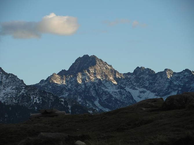 Tatry: Owce na Rusinowej Polanie