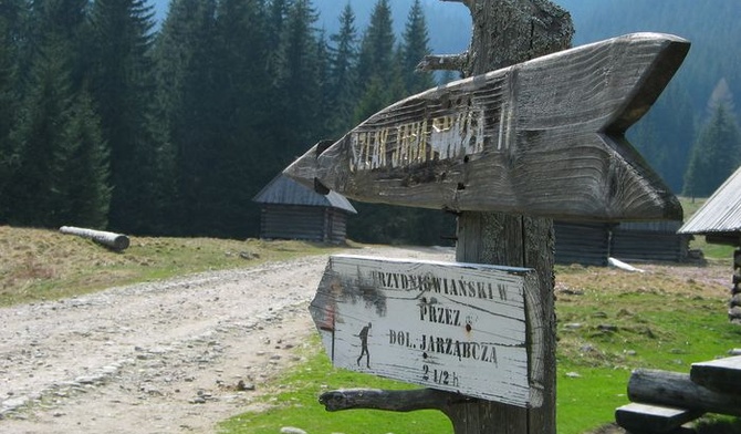 Jak rozpoznawać wolę Bożą?