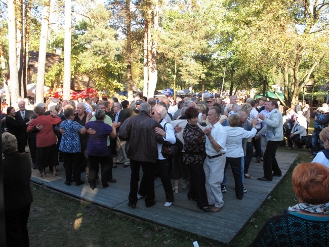 Na polu i na scenie podczas „Festiwalu ziemniaka” w Muzeum Wsi Radomskiej