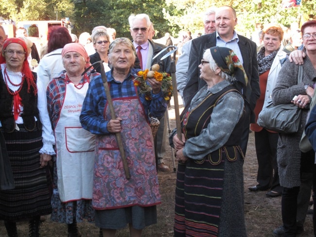 Na polu i na scenie podczas „Festiwalu ziemniaka” w Muzeum Wsi Radomskiej