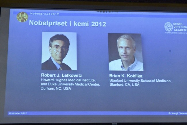 Nobel z chemii z polskimi akcentami