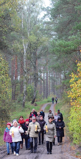  Trasa łosiery widzie przez lasy położone między Pluskami a Orzechowem