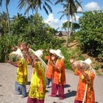 Muzycy z Madagaskaru - Teny Tonga Nofo