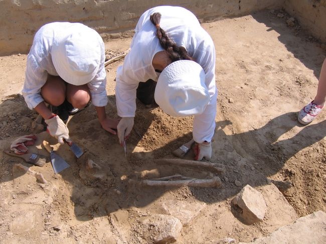 Nowe odkrycia archeologów w Złotej 