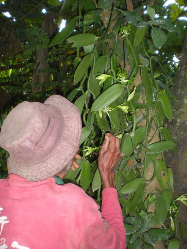 Taxi brousse po Madagaskarze