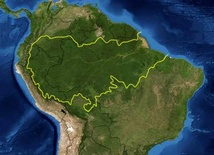 Kolejne obszary Puszczy Amazońskiej pod ochroną