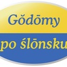 Z inicjatywą oznaczania miejsc, gdzie można załatwiać sprawy używając "śląskiej godki" wystąpiła Fundacja Silesia i Pro Loquela Silesiana Towarzystwo Kultywowania i Promowania Śląskiej Mowy