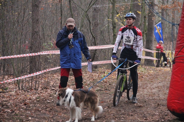 VI Wyścigi Psich Zaprzęgów Wataha Cup