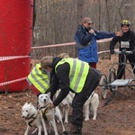 VI Wyścigi Psich Zaprzęgów Wataha Cup