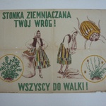 Siła słabych papierów