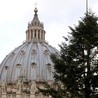 Watykan: Choinka już stoi