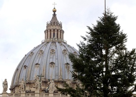 Watykan: Choinka już stoi
