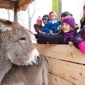 Jak miło pogłaskać betlejemskie zwierzaki...