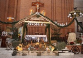 Zwycięska szopka z kościoła pw. Podwyższenia Krzyża Świętego w Opocznie