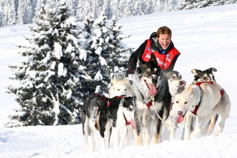 Psie zaprzęgi w wysokich Alpach