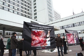  Pikietujący trzymali w rękach plakaty pokazujące straszliwe skutki aborcji