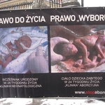 Wystawa antyaborcyjna "Wybierz życie" w Krakowie