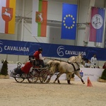 Cavaliada