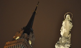 Tarnowska katedra