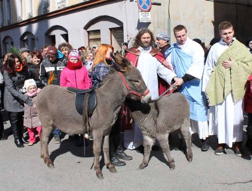 Most zakochanych, kłódki i…osioł