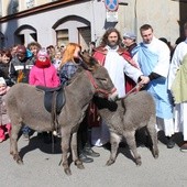 Most zakochanych, kłódki i…osioł