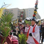 Niedziela Palmowa w Sulęcinie