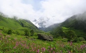 Park Narodowy Nanda Devi i Doliny Kwiatów (Indie)