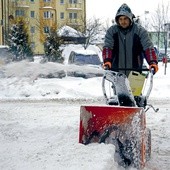 Przyroda niecierpliwie wsłuchuje się w powolne kroki nadchodzącej wiosny. Jednak ona poradzi sobie z kwietniowym śniegiem lepiej niż ludzie