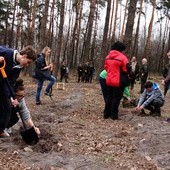 Święto Lasu w Niepołomicach