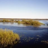 Nie znaleziono mężczyzny, który wpadł do Biebrzy