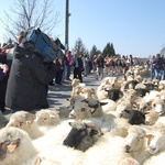 Bacowskie święto w Ludźmierzu