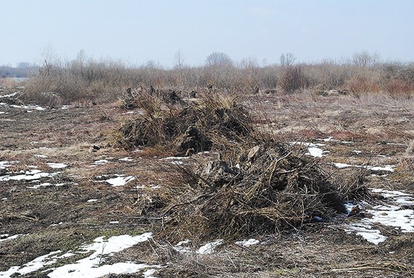 Brzegi Wisły muszą być regularnie oczyszczane