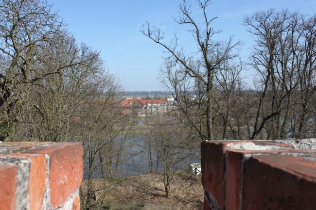 Pałac i park w Żmigrodzie