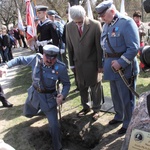 W Gdyni będzie pomnik Józefa Piłsudskiego