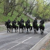 Sekcja Konna Komendy Stołecznej Policji