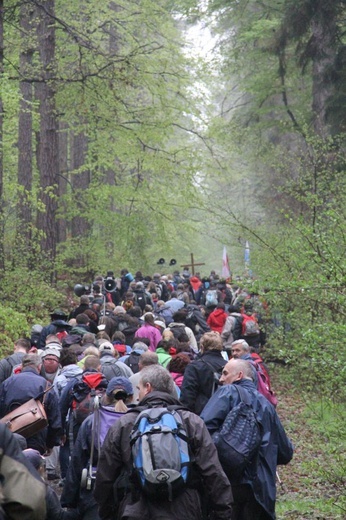 Majówka na Ślęży