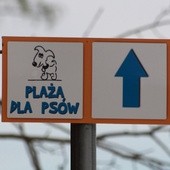 Strefa dla czworonogów