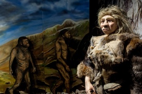 Centrum Neandertalczyka 
