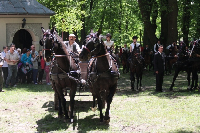 Pielgrzymka miłośników koni