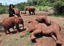 Dr Paula Kahumbu, oprócz pracy w Parku Narodowym Nairobi, jest współautorką książek dla młodzieży, poświęconych ochronie  dzikich zwierząt.  Niektóre z nich przetłumaczono na 25 języków