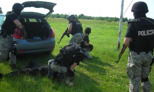 Pokaz sprawności policjantów podczas żyrardowskiego festynu