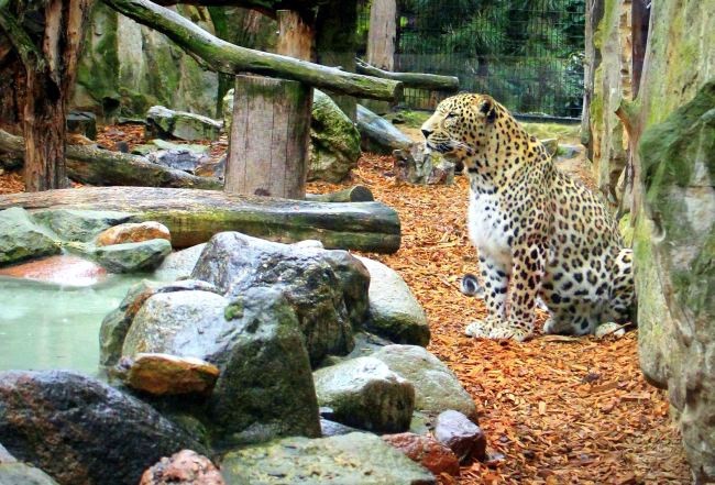 Płockie ZOO mieści się na ul. Norbertańskiej 2